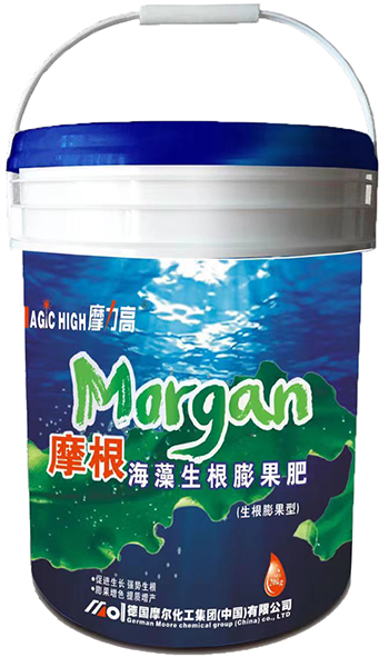 摩根海藻强力生根剂